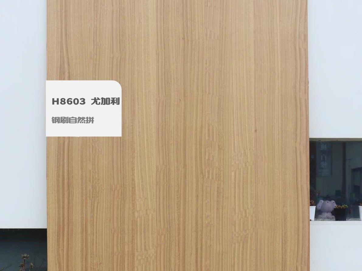 H8603 尤加利鋼刷自然拼